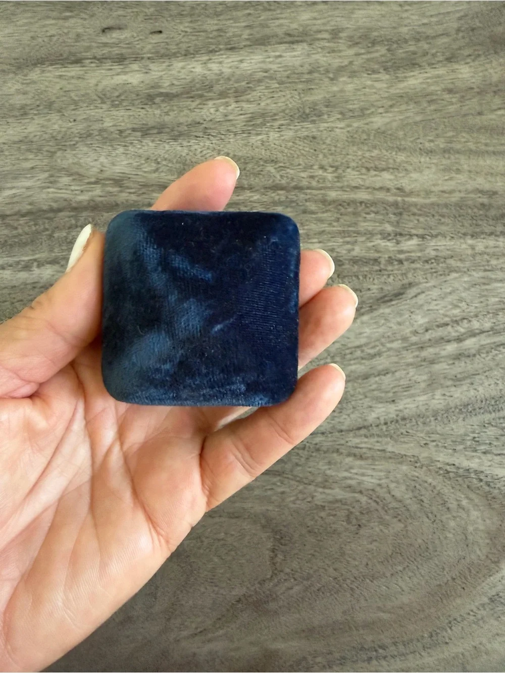 Vintage Velvet Jewelry Case Cosmetic Bag - Navy Blue